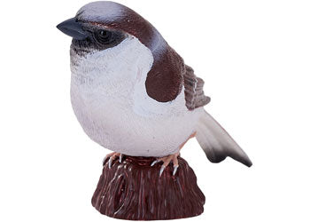 Mojo - House Sparrow 2025 - Modern Brands Australia