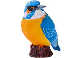 Mojo - Kingfisher 2025 - Modern Brands Australia