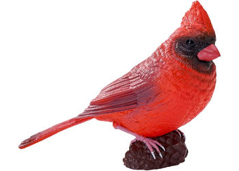 Mojo - Red Cardinal 2025 - Modern Brands Australia