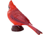 Mojo - Red Cardinal 2025 - Modern Brands Australia