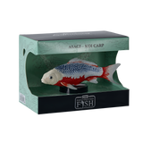 Mojo - Asagi Koi Carp Gift Boxed