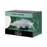 Mojo - Tancho Koi Carp Gift Boxed
