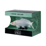 Mojo - Tancho Koi Carp Gift Boxed