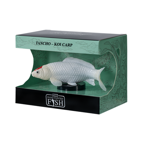 Mojo - Tancho Koi Carp Gift Boxed