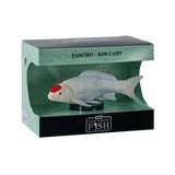 Mojo - Tancho Koi Carp Gift Boxed