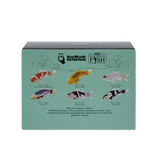 Mojo - Tancho Koi Carp Gift Boxed