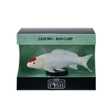 Mojo - Tancho Koi Carp Gift Boxed