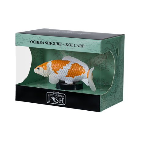 Mojo - Ochiba Shigure Koi Carp Gift Boxed