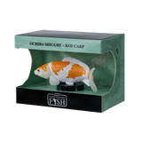 Mojo - Ochiba Shigure Koi Carp Gift Boxed
