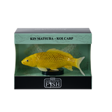 Mojo - Kin Matsuba Koi Carp Gift Boxed