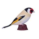 Mojo - European Goldfinch Gift Boxed