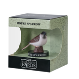 Mojo - House Sparrow Gift Boxed