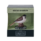Mojo - House Sparrow Gift Boxed