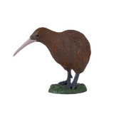 Mojo - Kiwi Gift Boxed