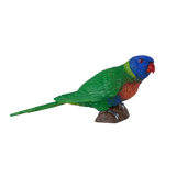 Mojo - Rainbow Lorikeet