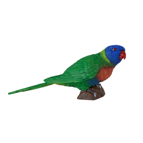 Mojo - Rainbow Lorikeet