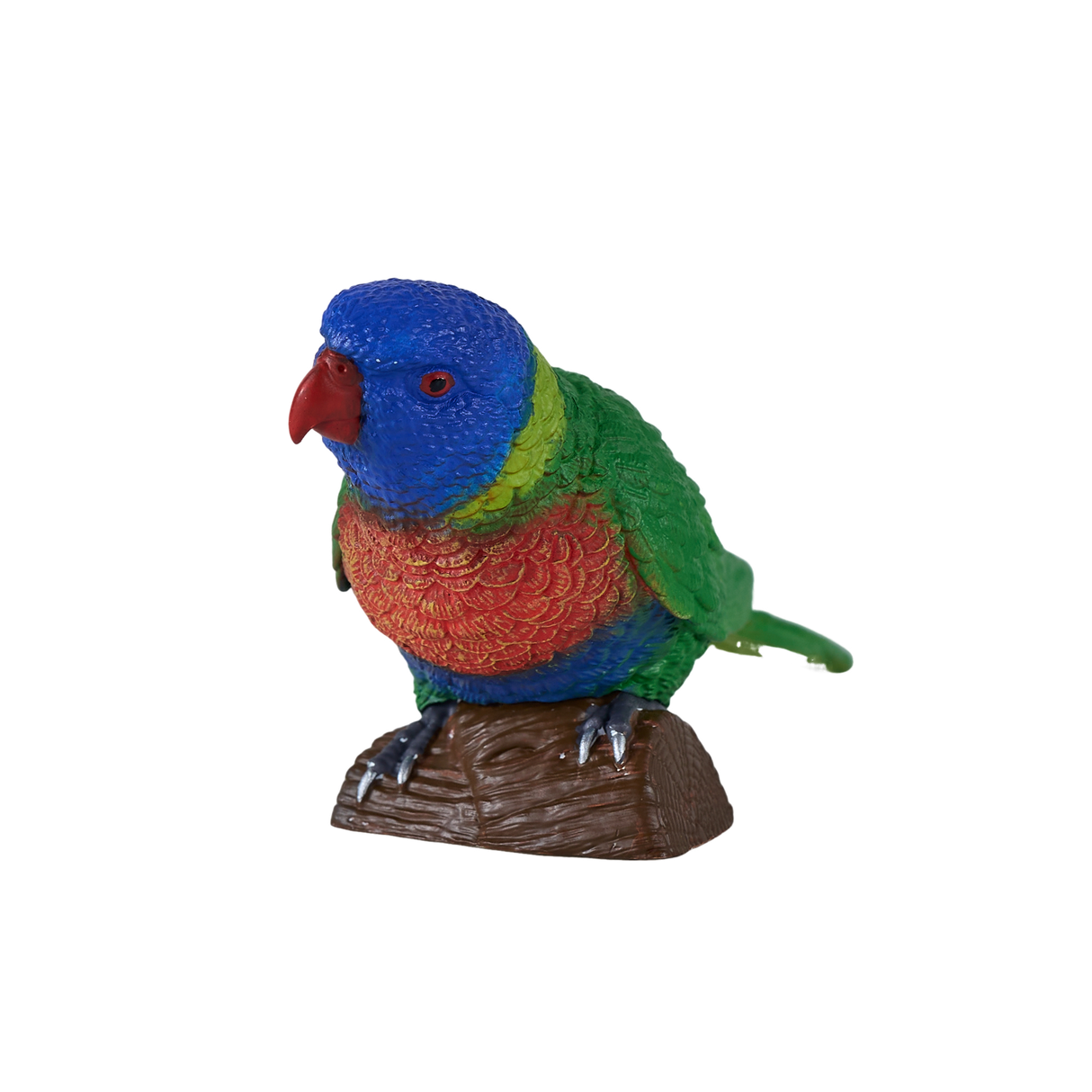 Mojo - Rainbow Lorikeet