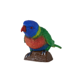 Mojo - Rainbow Lorikeet