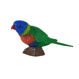 Mojo - Rainbow Lorikeet