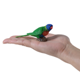 Mojo - Rainbow Lorikeet