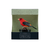 Mojo - Scarlet Tanager Gift Boxed