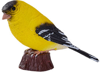 Mojo - American Goldlfinch 2025 - Modern Brands Australia