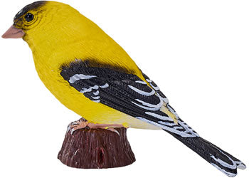 Mojo - American Goldlfinch 2025 - Modern Brands Australia