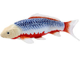 Mojo - Koi Carp - Asagi Koi (blue red) 2025 - Modern Brands Australia