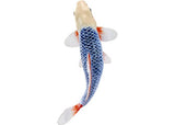 Mojo - Koi Carp - Asagi Koi (blue red) 2025 - Modern Brands Australia