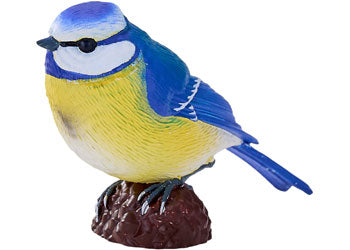 Mojo - Blue Tit 2025 - Modern Brands Australia