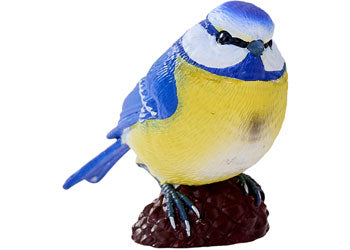 Mojo - Blue Tit 2025 - Modern Brands Australia