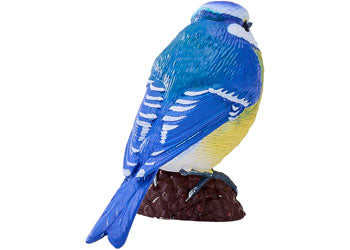 Mojo - Blue Tit 2025 - Modern Brands Australia