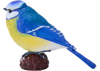 Mojo - Blue Tit 2025 - Modern Brands Australia