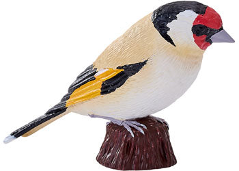 Mojo - European Goldfinch 2025 - Modern Brands Australia