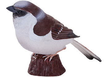 Mojo - House Sparrow 2025 - Modern Brands Australia