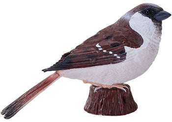 Mojo - House Sparrow 2025 - Modern Brands Australia