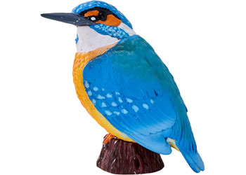 Mojo - Kingfisher 2025 - Modern Brands Australia