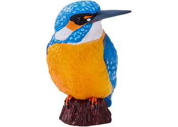 Mojo - Kingfisher 2025 - Modern Brands Australia