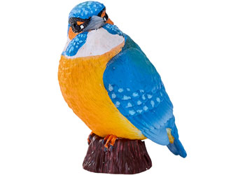 Mojo - Kingfisher 2025 - Modern Brands Australia