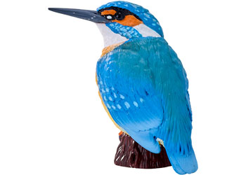 Mojo - Kingfisher 2025 - Modern Brands Australia