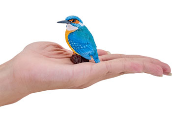 Mojo - Kingfisher 2025 - Modern Brands Australia