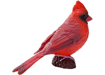 Mojo - Red Cardinal 2025 - Modern Brands Australia