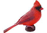 Mojo - Red Cardinal 2025 - Modern Brands Australia