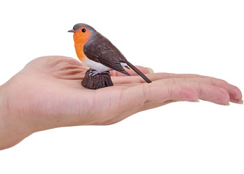 Mojo - Robin 2025 - Modern Brands Australia