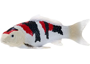 Mojo - Koi Carp - Showa Sanshoku Koi 2025 - Modern Brands Australia