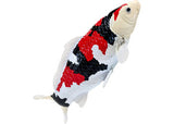 Mojo - Koi Carp - Showa Sanshoku Koi 2025 - Modern Brands Australia