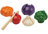 PlanToys 5 Colours Veggie Set - Modern Brands Australia