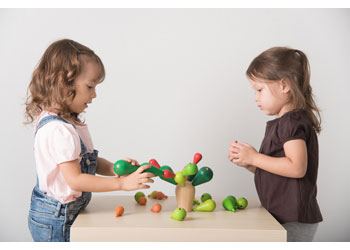 PlanToys - Balancing Cactus - Modern Brands Australia