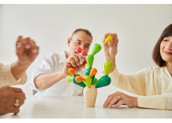 PlanToys - Balancing Cactus - Modern Brands Australia