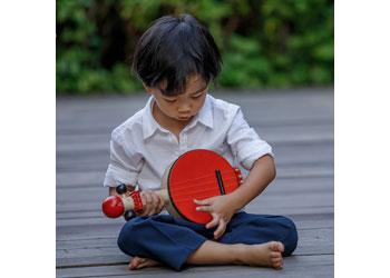 Plantoys - Banjo - Modern Brands Australia
